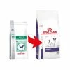 Royal Canin VCN Small Dog Adult Pour Chien 2kg